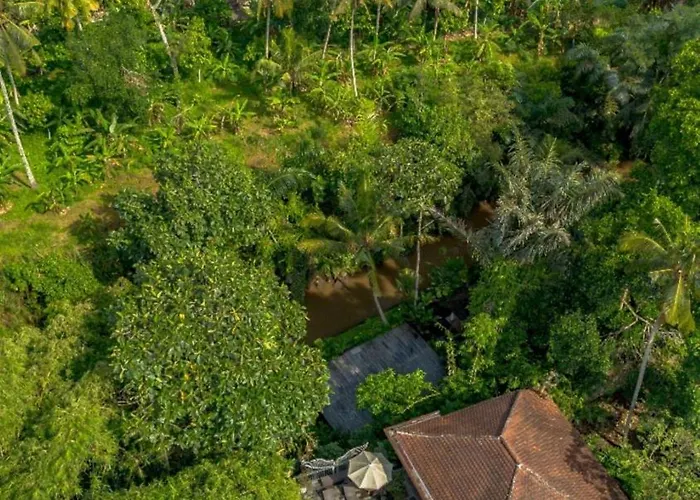Tattva Ubud Retreat & Wellness